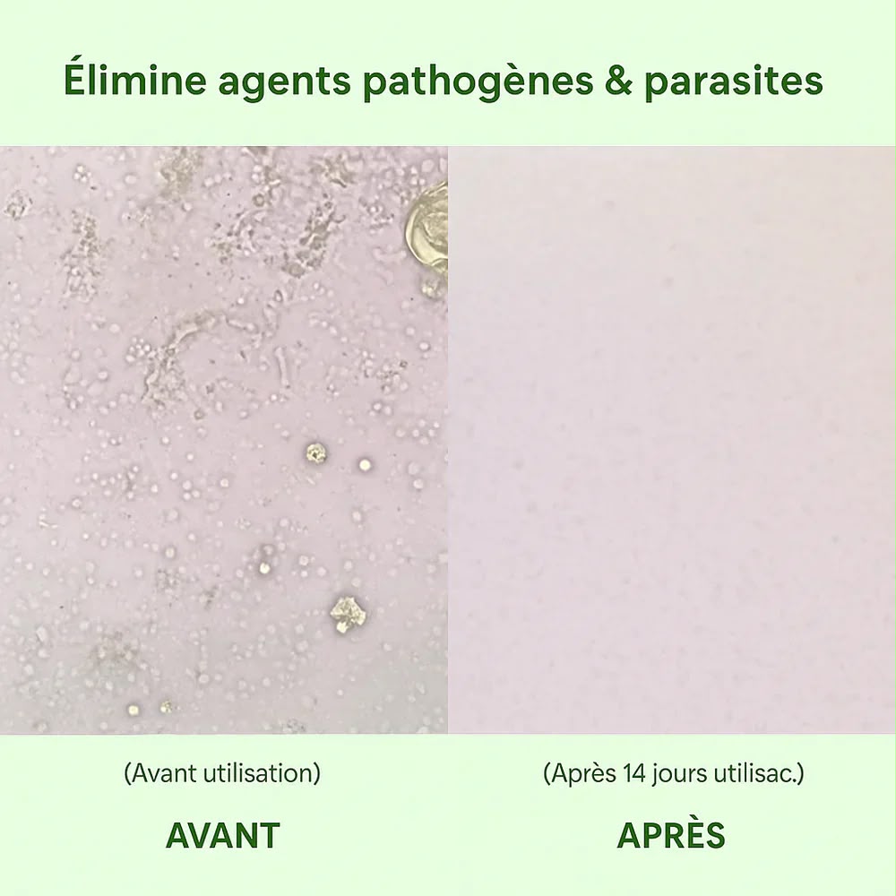 Huile d’Origan + Huile de Nigelle – 300 Gélules